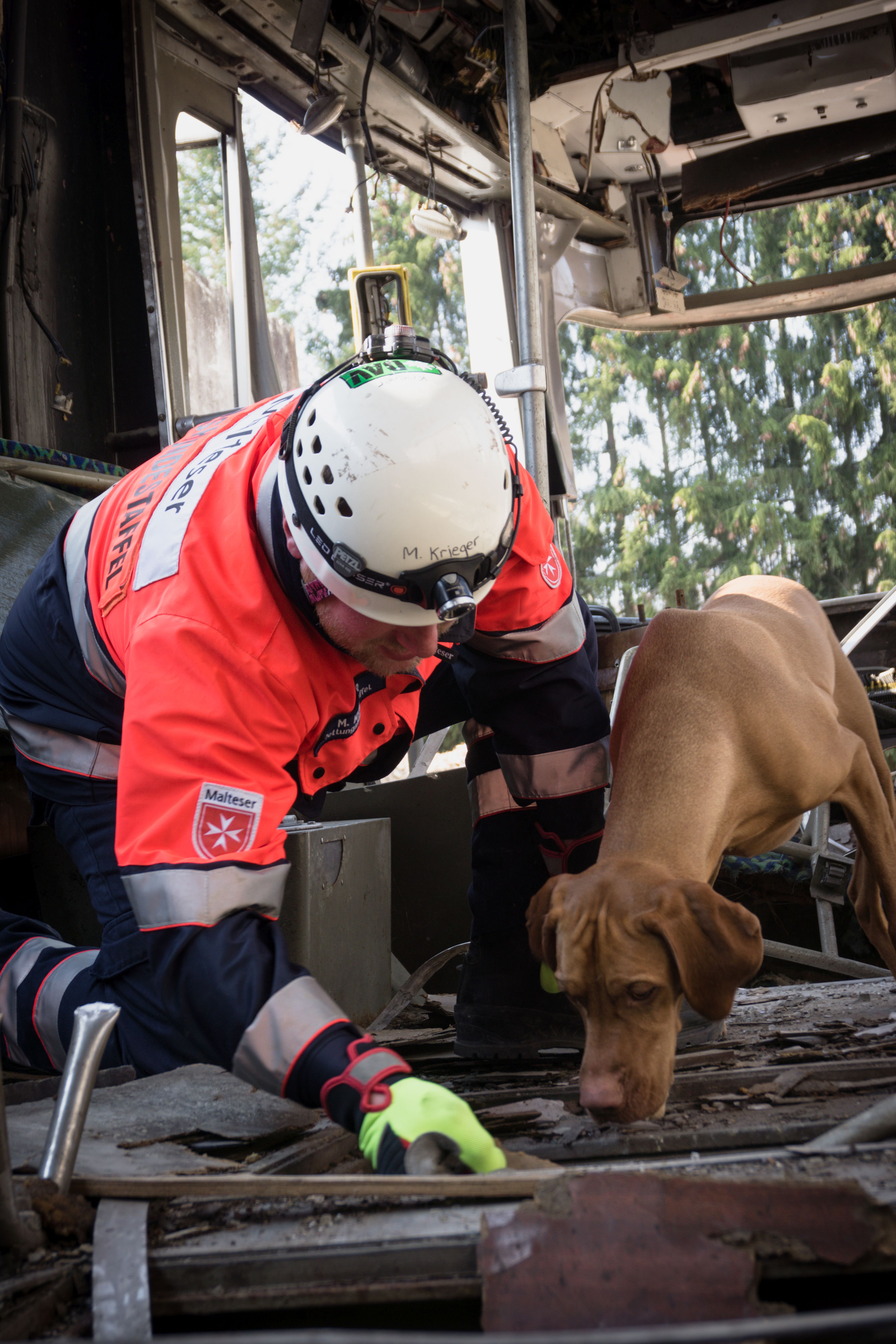 Nasen, die Leben retten: Malteser Rettungshunde